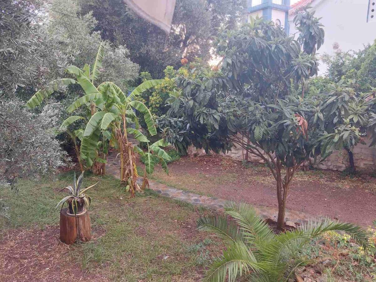 Vitamin Sea Studio Panagia  Екстериор снимка