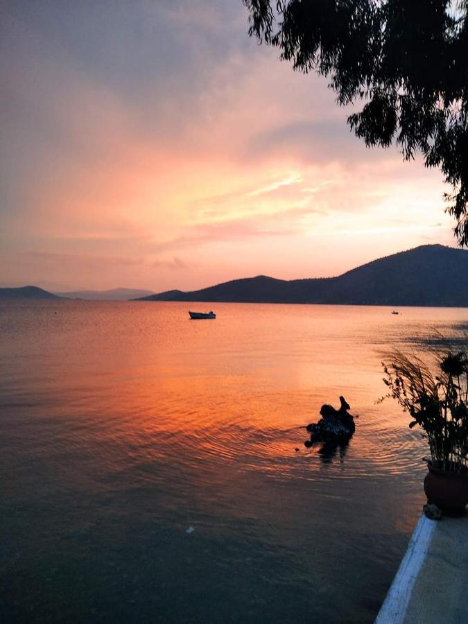 Vitamin Sea Studio Panagia  Екстериор снимка