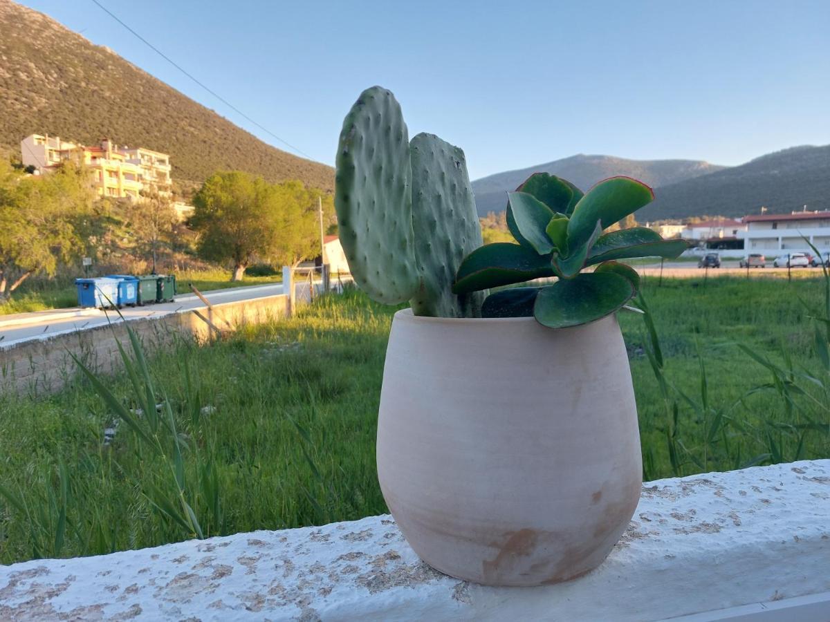 Vitamin Sea Studio Panagia  Екстериор снимка
