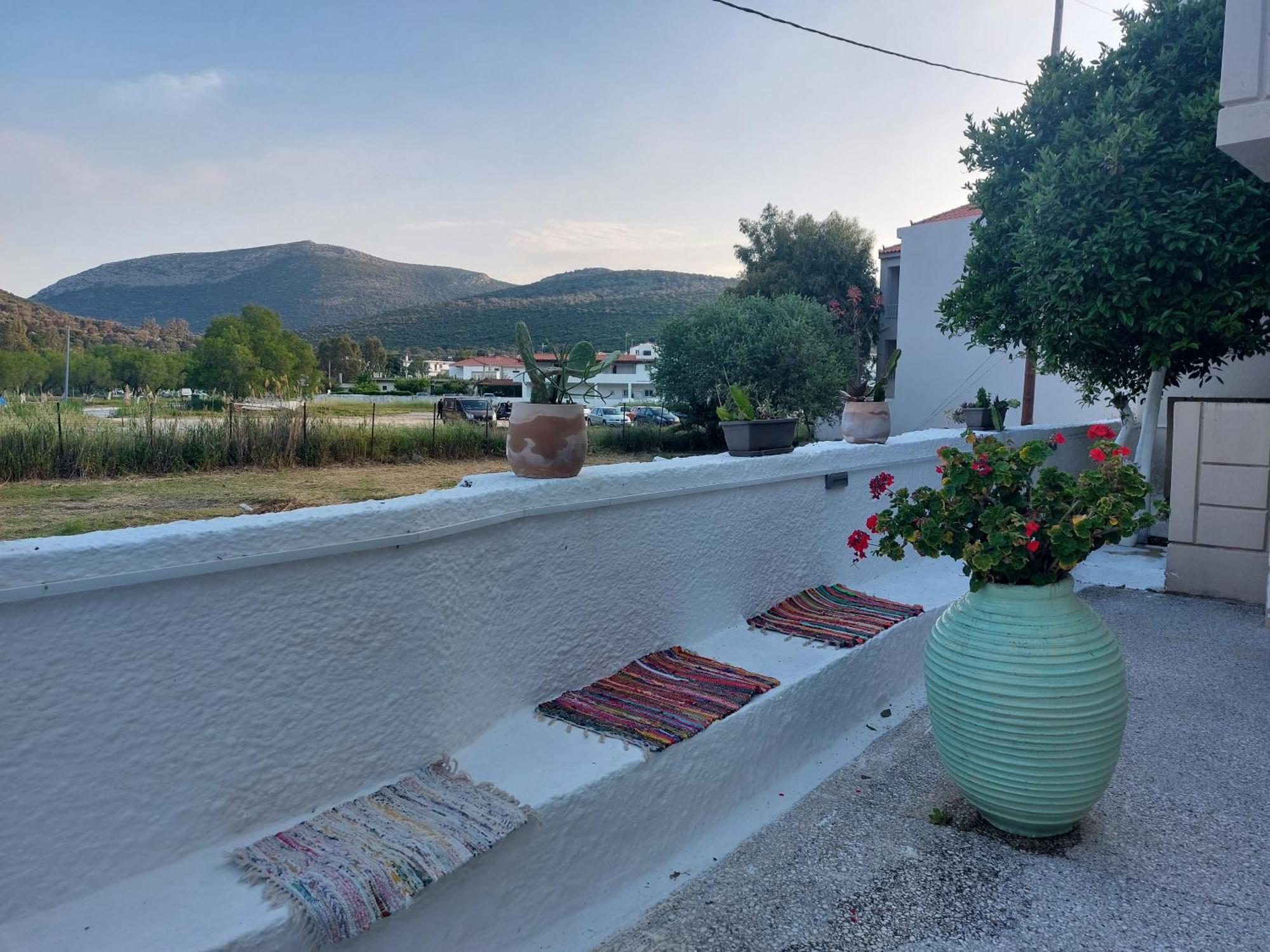Vitamin Sea Studio Panagia  Стая снимка